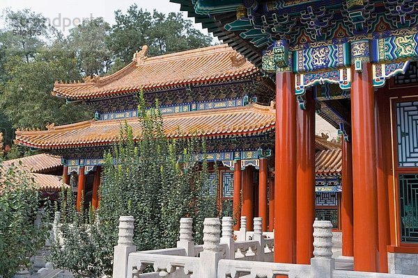 Pflanzen an Tempel  Sommerpalast  Beijing  China