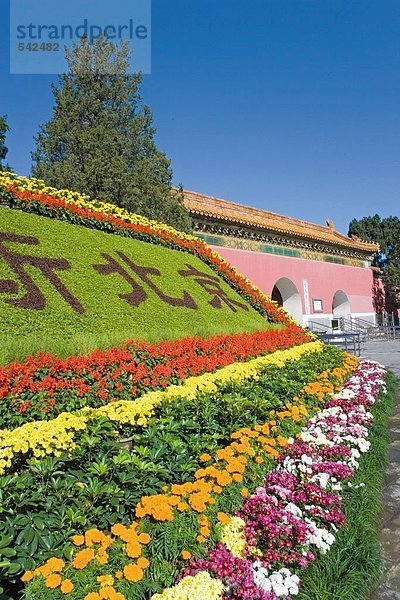 Blumenbeet am Denkmal  Ming-Gräber  Beijing  China