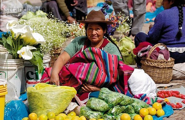 Weibliche Kreditor im Marktplatz  Pisac  Urubamba Tal  Peru