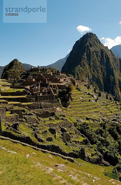 Erhöhte Ansicht Ruinen der alten auf Berg  Inka-Ruinen  Machu Picchu  Region Cusco  Peru