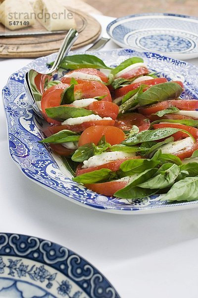 Insalata Caprese (Tomaten und Mozzarella  Italien)