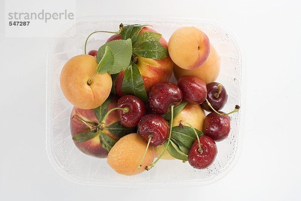 Plastikschale mit Nektarinen  Aprikosen und Kirschen