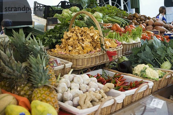 Marktstand mit Früchten  Gemüse  Pilzen und Kräutern