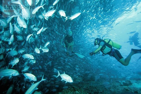 Unterwasseraufnahme Taucher schwimmen Borneo Malaysia Fischschwarm