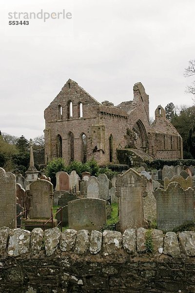 Alte Ruinen der Abtei  Grey Abbey  Greyabbey  County Down  Irland