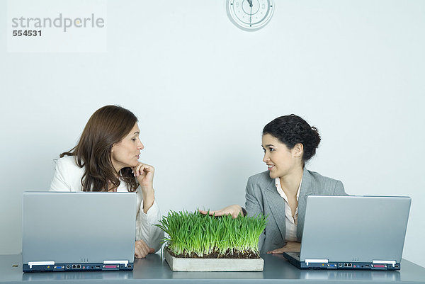 Zwei Geschäftsfrauen sitzen an Laptops  eine berührt das Tablett mit Weizengras.