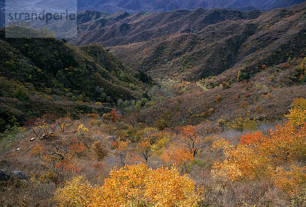Erhöhte Ansicht der Pflanzen mit Bergen im Hintergrund  Japan