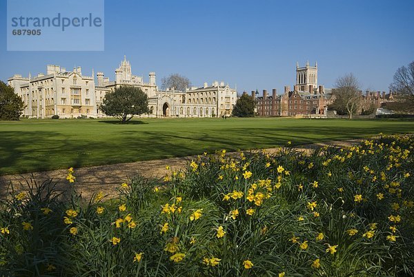 Garten vor College  St Johns College  Cambridge University  Cambridge  Cambridgeshire  England