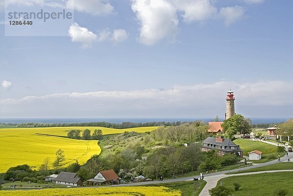 Oilseed Rape Feld mit Leuchtturm im Hintergrund  Schinkelturm  Putgarten  Rügen  Mecklenburg-Vorpommern  Deutschland