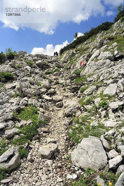 Untersicht des Berges  Salzkammergut  Oberösterreich  Österreich