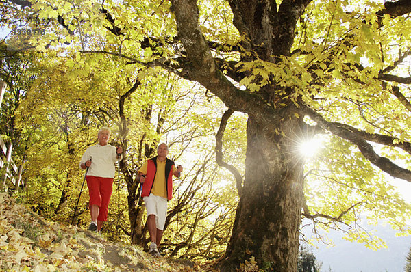 Seniorenpaar Nordic Walking  Tiefblick