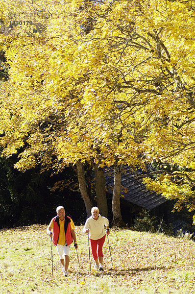 Seniorenpaar Nordic Walking im Freien