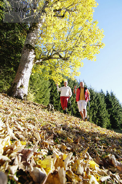 Seniorenpaar Nordic Walking  Tiefblick