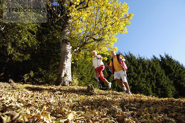 Seniorenpaar Nordic Walking im Freien