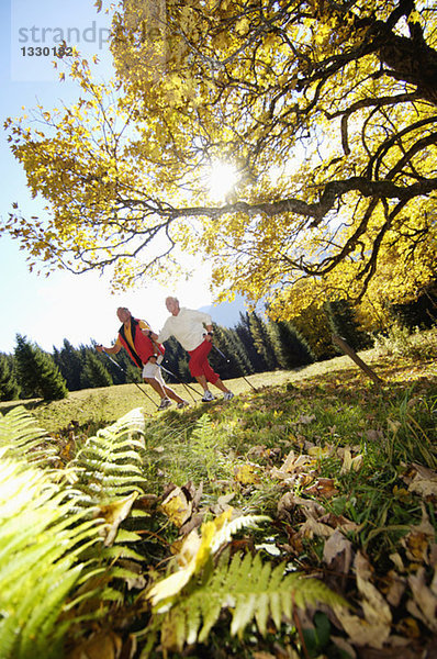 Seniorenpaar Nordic Walking im Freien  Seitenansicht