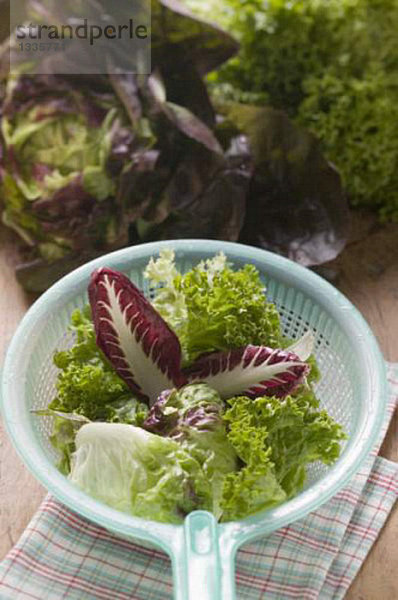 Verschiedene Salate im Plastiksieb