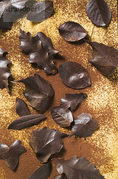 Verschiedene Schokoladenblätter auf Kakaopulver (Draufsicht)