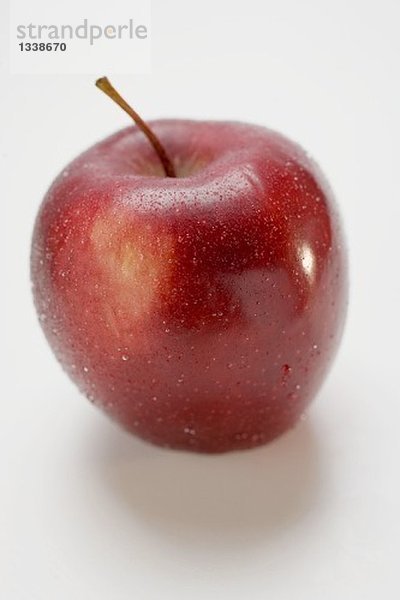 Roter Apfel  Sorte Stark  mit Wassertropfen