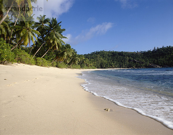 Umgebung & Natur. Strand. Tropical Beach. Seychellen. Mahe.