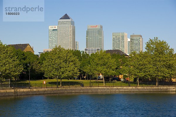 Bäume vor Wolkenkratzern  Tower Hamlets  Canary Wharf  Isle of Dogs  Thames River  London  England