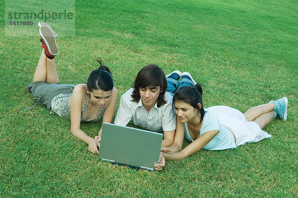 Gruppe junger Freunde auf Rasen liegend  mit Laptop
