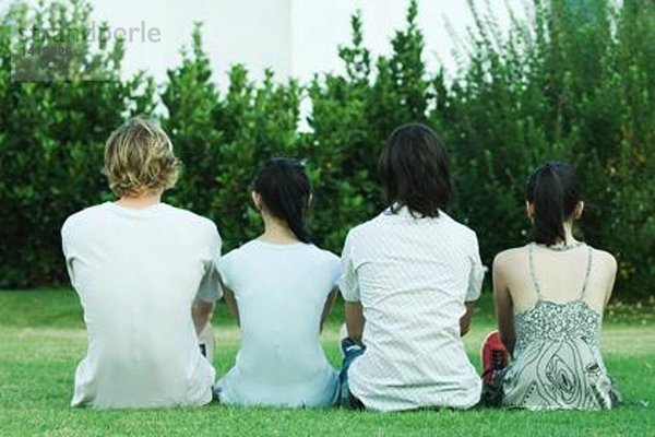 Vier junge Freunde sitzen auf Gras  Seite an Seite  Rückansicht