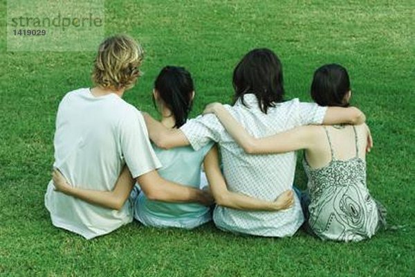 Vier junge Freunde sitzen auf Gras  Seite an Seite  mit Armen umeinander  Rückansicht