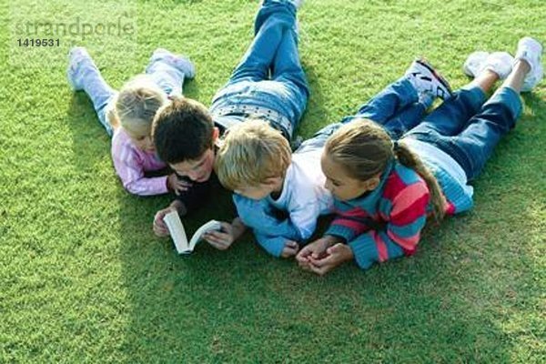 Kinder  die zusammen auf Gras liegen  lesen