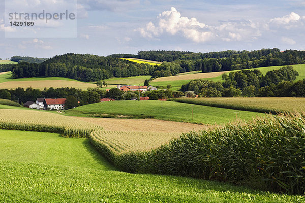 Gerany  Upper Bavaria  fields in hilly landscape