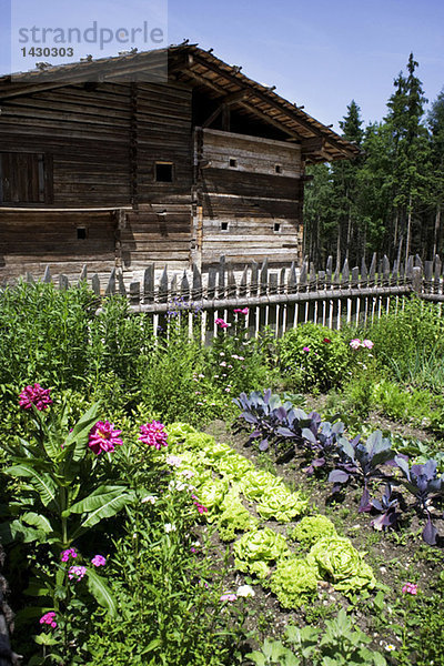 Austria  farmhouse with vegetable garden