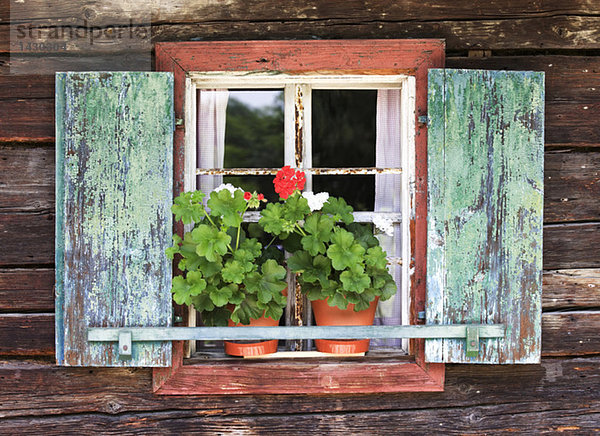 Österreich  Bauernhaus mit Topfpflanzen auf der Fensterbank