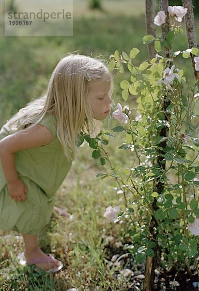 Ein Mädchen auf einer Blume riecht.
