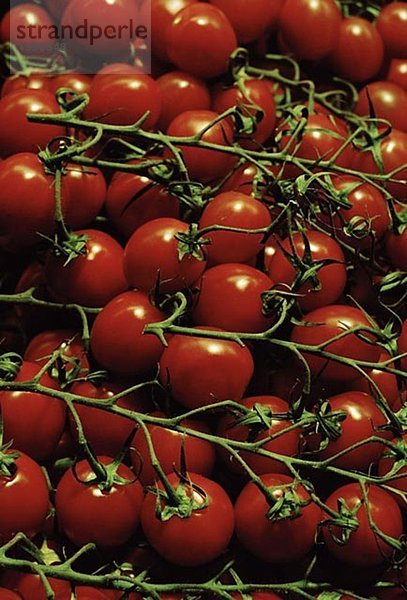 Rot tomaten Nahaufnahme.