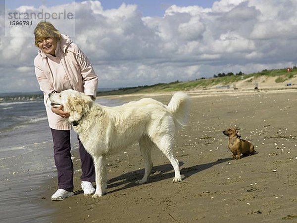 Eine Frau am Strand mit ihren zwei Hunden eine große und eine kleine.