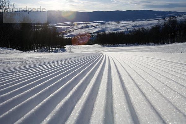 Spuren im Schnee in Berglandschaft.