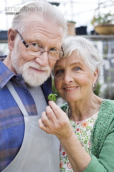 Ein älterer skandinavischen Paar mit ein Sämling Schweden.