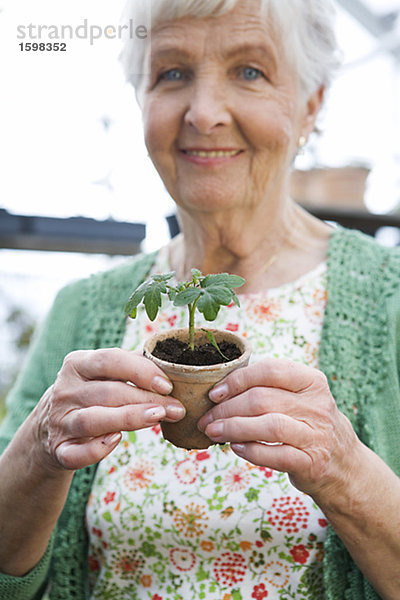 Alte skandinavische Frau zeigt eine Pflanze Schweden.