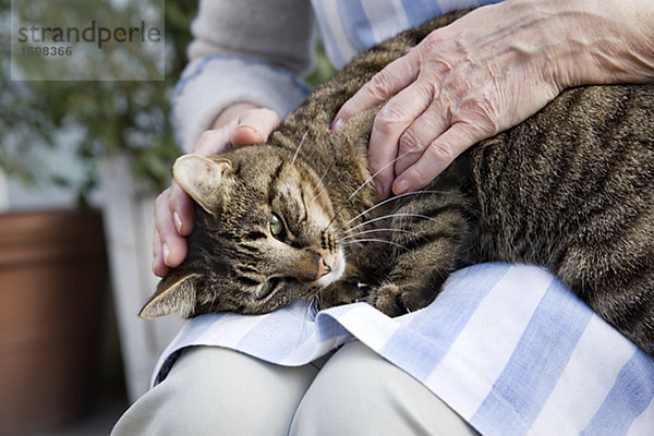 Eine ältere Frau skandinavischen Striche Cat in Runde Schweden.