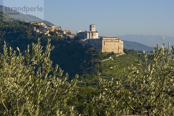 Untersicht Stadt an den Hang  Basilika von San Francesco d ' Assisi  Assisi  Perugia Provinz  Umbrien  Italien
