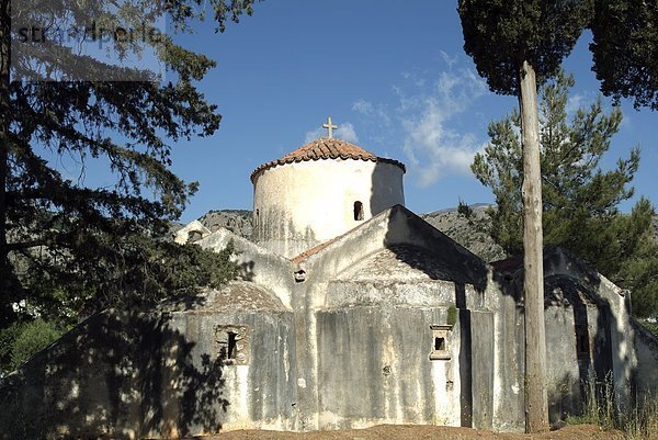 Bäume vor der Kirche