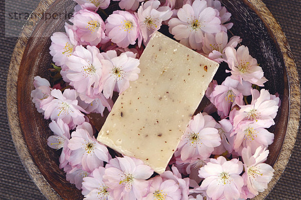 Kirschblüten in einer Schale und einem Stück Aromaseife  Nahaufnahme