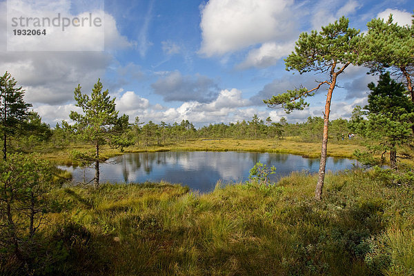 See  umgeben von Bäumen  Schweden