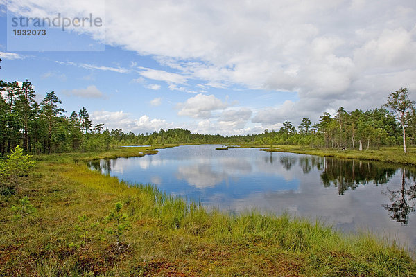 Reflexion von Bäumen und Wolken in See  Schweden