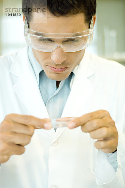 Forscher mit Schutzbrille beim Aufnehmen der Petrischale