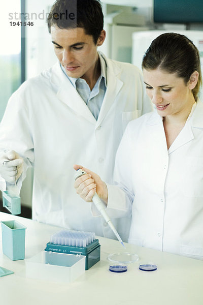 Laborantin  die die Lösung in die Petrischale fallen lässt  steht neben dem männlichen Kollegen.