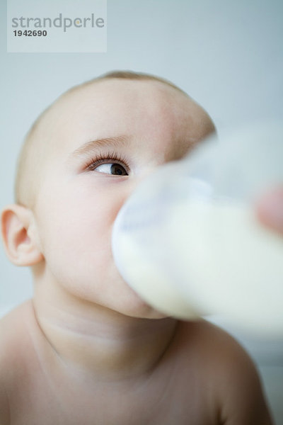 Baby-Trinkmilch aus Flasche  Kopf und Schultern  selektive Fokussierung