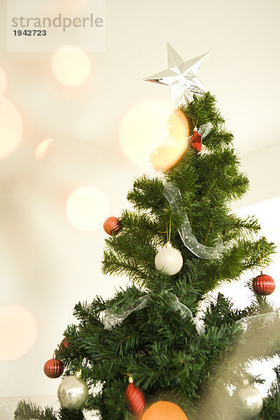 Weihnachtsbaum  Blick durch die Weihnachtsbeleuchtung  selektive Fokussierung