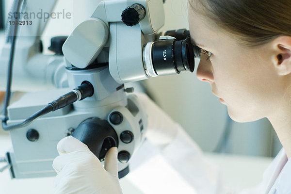 Junge Frau  die im wissenschaftlichen Labor arbeitet  unter dem Mikroskop