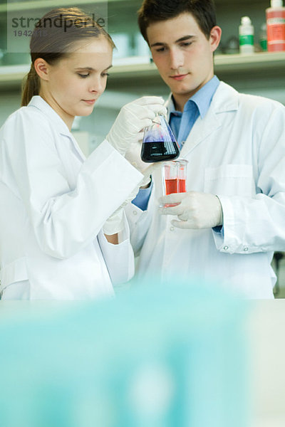 Junge männliche und weibliche Laboranten  die Laborglaswaren halten