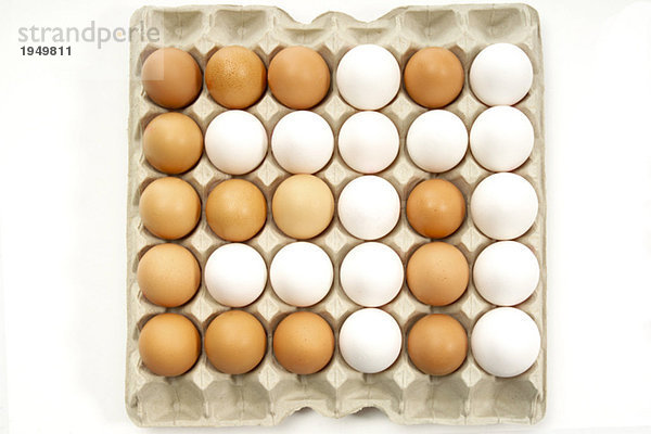 Eier im Eierkarton  erhöhte Ansicht